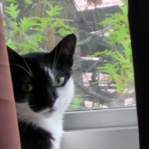 Meet your Posher, Danielle